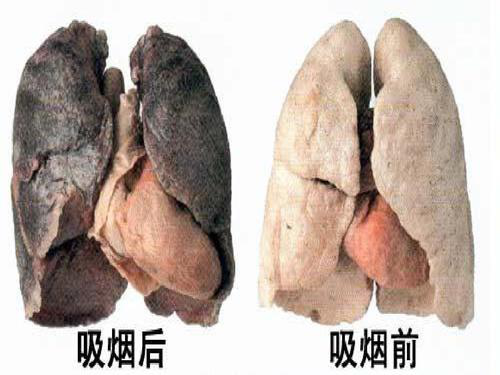 香港宝典全年资料大全